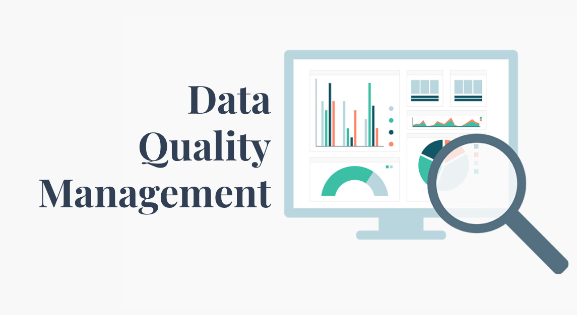 An Introduction to Data Quality Management (DQM)